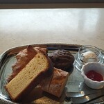 LAGOON TOOTH TOOTH - 