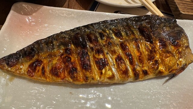 和明　橋本　ひのきバチ ひもの野郎 バルチカ03エキウエ店のご予約 - 西梅田/海鮮 | 食べログ