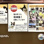 中華マオ - ネコ好きが高じてボランティアも