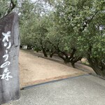 オリーブパレス レストレア - 