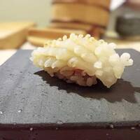 鮨 龍馬 - 福岡の白烏賊 & 北海道根室のバフンウニ～白烏賊とシャリの間にバフンウニ