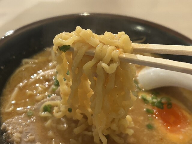 松寛商店 - 本八戸（ラーメン）の写真