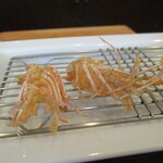 旬彩 天ぷら 心来(しんら） - くも。