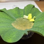 馳走 啐啄一十  - 