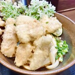 まる博 - かしわ天ぶっかけ（並・冷）（￥900）