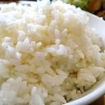 サッポロトンテキ - 大盛りご飯