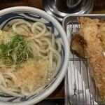 トウキョウライトブルー ホンゴウスリー - 