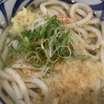 トウキョウライトブルー ホンゴウスリー - 