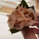 鮨処 暁 -akatsuki- - 駿河湾・桜海老の手巻き寿司