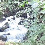 奥入瀬渓流ホテル - 雨続きで水量多いです