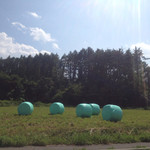 わざわざ - お店と関係ないですがこんな場所  １
      