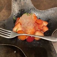 オッジ ダルマット 西麻布店 - 