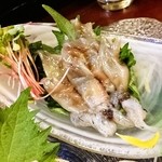 酒肴商店 アジト - 生ホタルイカ