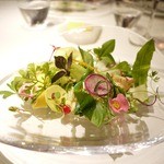 レフェルヴェソンス - 時季のお野菜