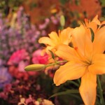 オン フラワーズ - 店内