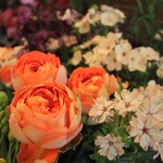 オン フラワーズ - 店内