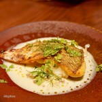 フレンチ大衆食堂 ボッチ - 