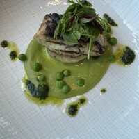 PIGNETO - 