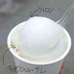 ラ・リューシェ - 上がシトロン、下がキャラメル・サレで
      それぞれの味わいは、シトロン味は強い酸味が効いてさっぱりとした味わいで
      キャラメル・サレは、濃厚なキャラメルの風味を強く感じるコクの有る味わいでした。