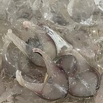 美加登家 - 鮎の背越しのアップ