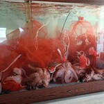 元祖たこ料理 保乃家 - 