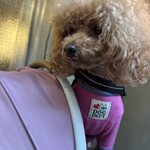 大衆食堂みゆき - 早くくれという感じｗ