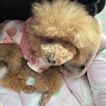 大衆食堂みゆき - 寝てる？ｗ