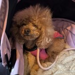 大衆食堂みゆき - リラックスモード