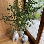 deux pins - カバちゃん、頭に何か
      のってるよ⁇ﾅﾆﾅﾆﾅﾆ(・・?)