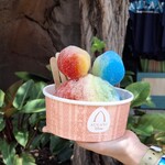 Pāpālua Shave Ice - 