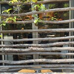 PICICA PICICA PIZZA & PASTA - 