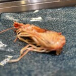 第一玉家寿し - 