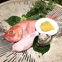 唐渡 - 