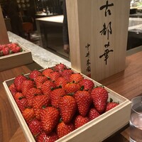 スガラボヴィー - 