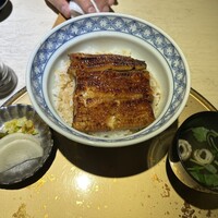 うなぎ 目白ぞろ芽 - 
