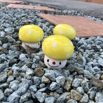 かぼちゃ - 