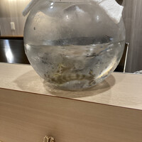 天ぷら 辻 - 
