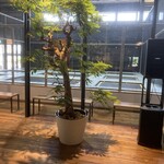 SWEET AS - トランポリンブース