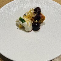 SCALAE - 