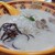 はまちゃんぎょうざ - 料理写真:鶏白湯拉麵