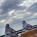 新江ノ島水族館 メインショップ - 