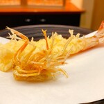 日本料理 木の花 - 