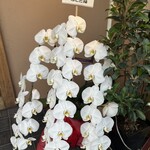 創彩和房ふじた - 祝10周年♪