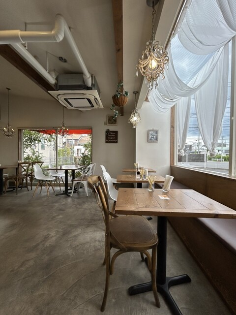 Delice Aprico photo 4