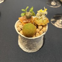 レストラン ローブ - 