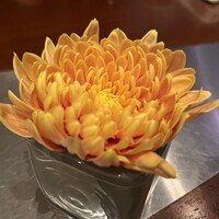 フレンチ キッチン - 