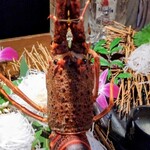 日本酒と個室居酒屋 まぐろ奉行とかに代官 - 極上伊勢海老刺身