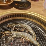 回転焼肉一升びん - 