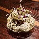 MAZ - 浅瀬－赤貝