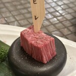 302343867 - ヒレ